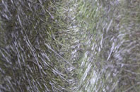 Watermoor fibreglass roof work